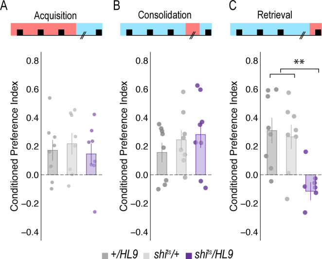 Figure 1—figure supplement 6.