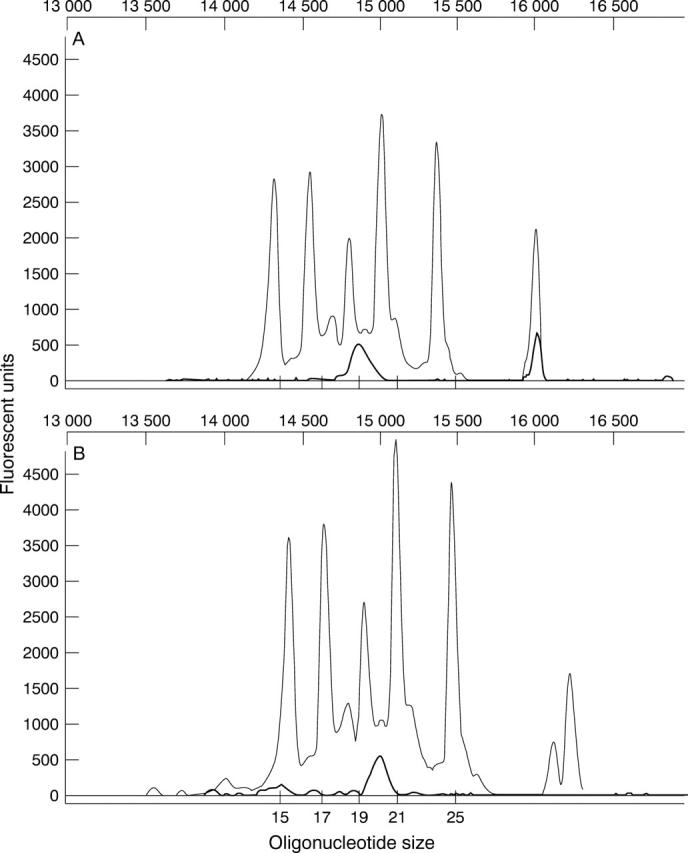 Figure 3  