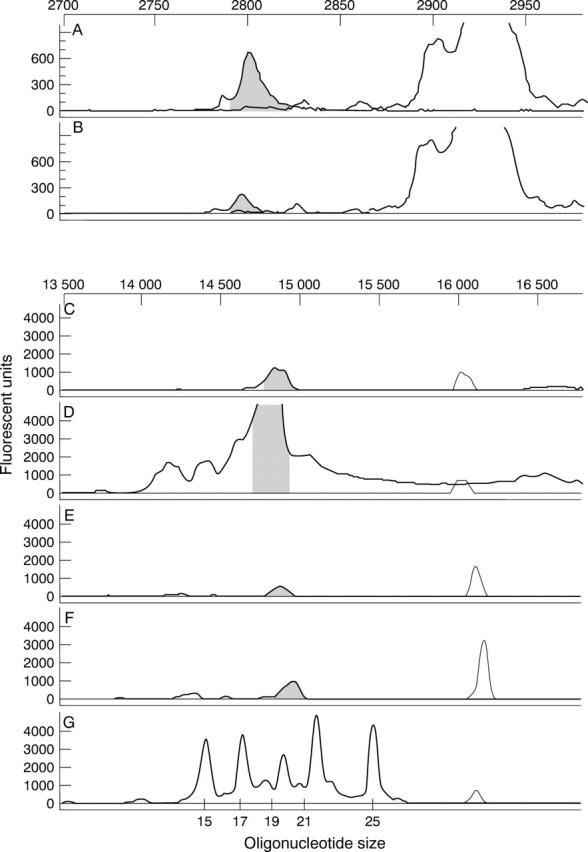 Figure 4  