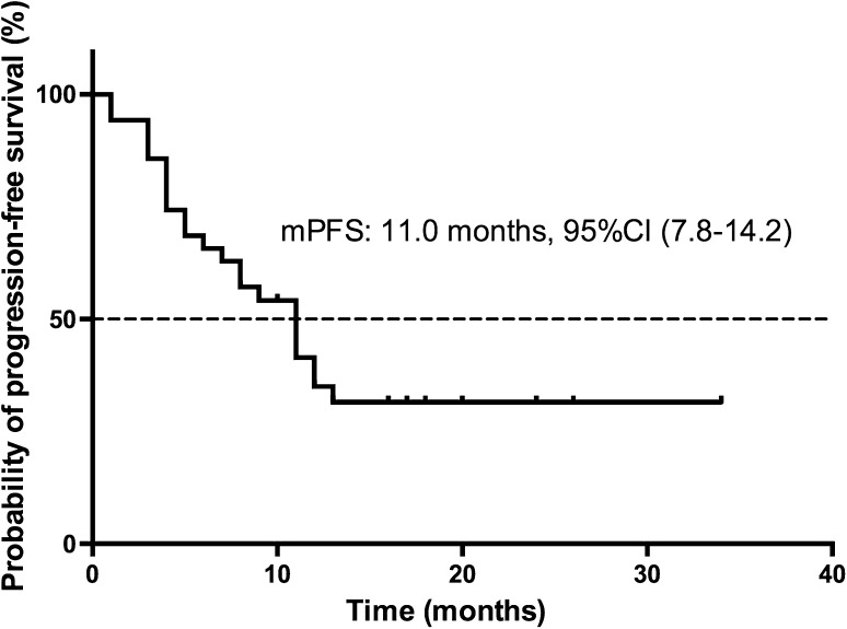 Fig. 1