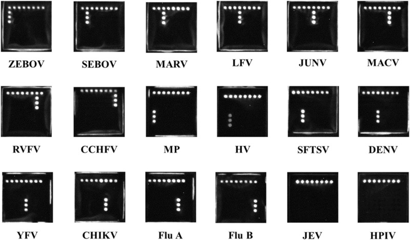 FIGURE 2