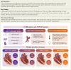 Structured Graphical Abstract