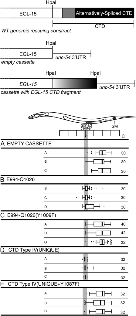 Figure 3.—