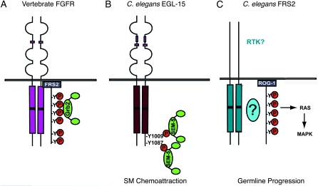 Figure 4.—