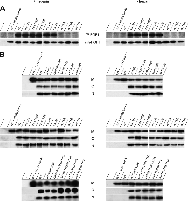 FIGURE 10.