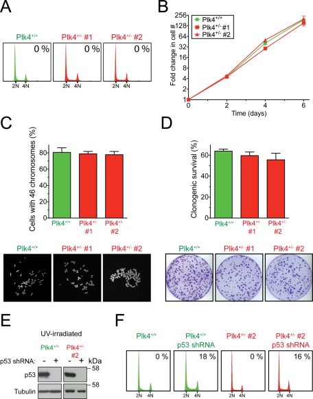 FIGURE 2: