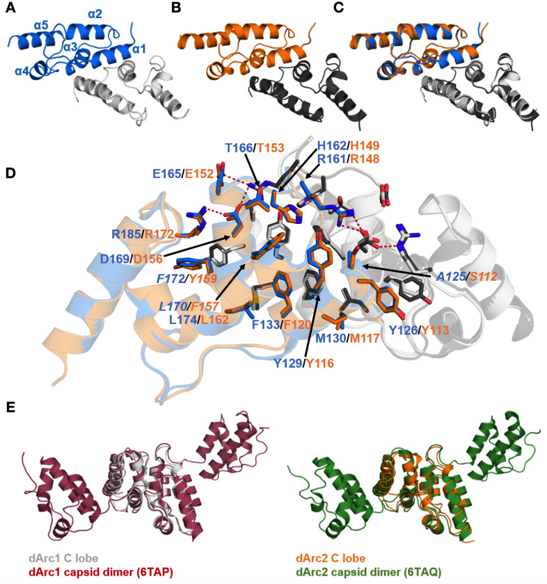 Fig 6