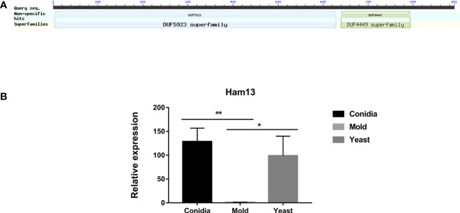 Figure 10