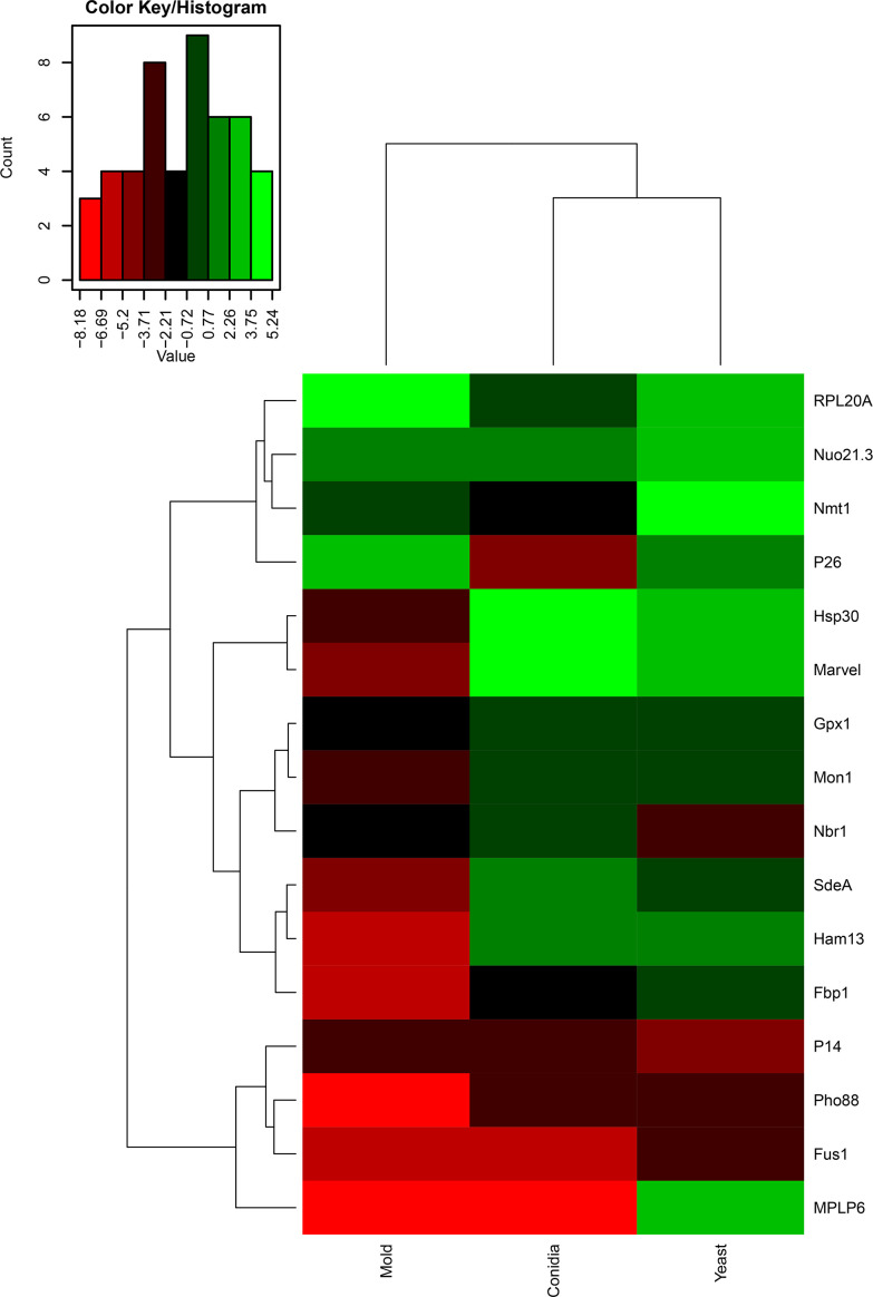 Figure 3