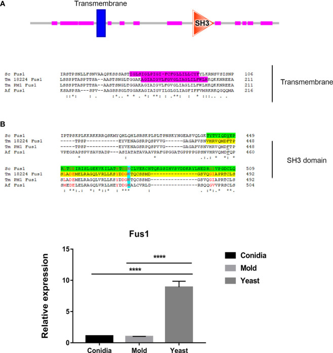 Figure 4