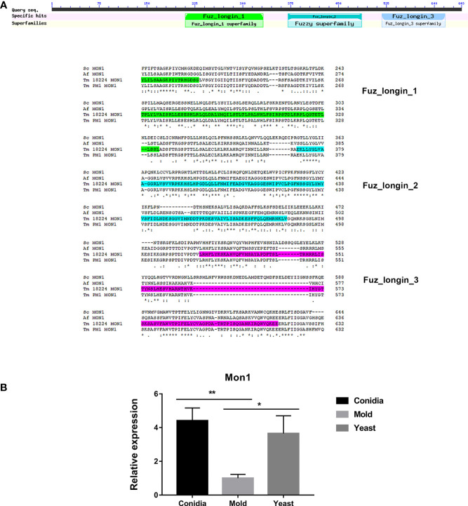 Figure 9