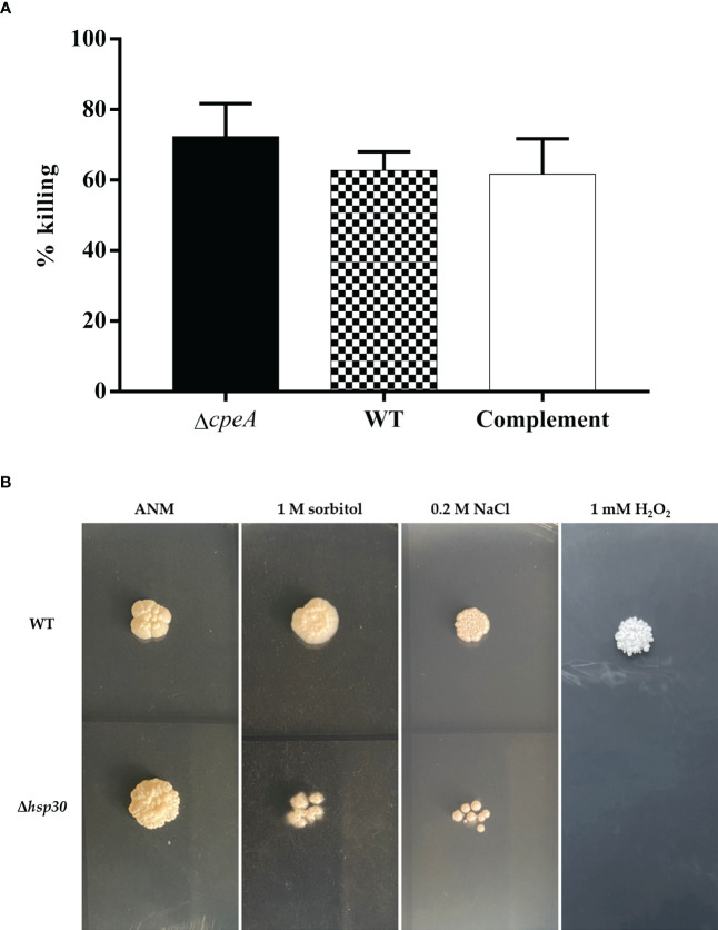 Figure 13