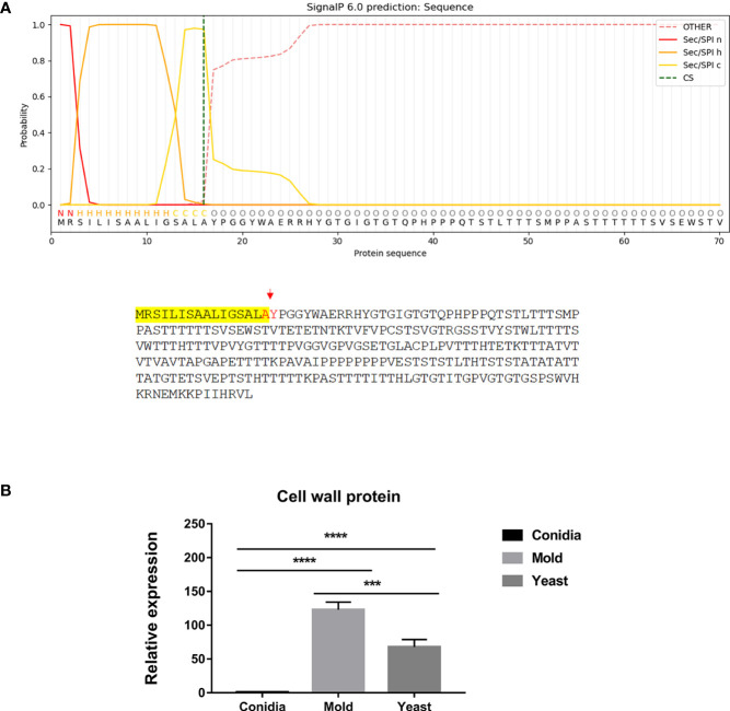 Figure 6