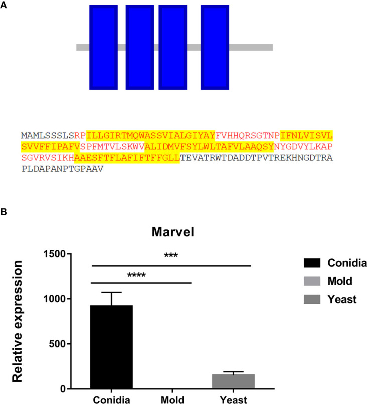 Figure 7