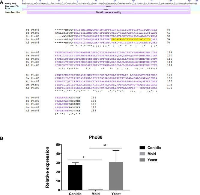 Figure 12