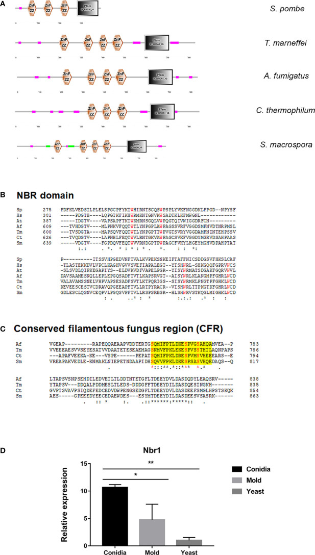 Figure 11