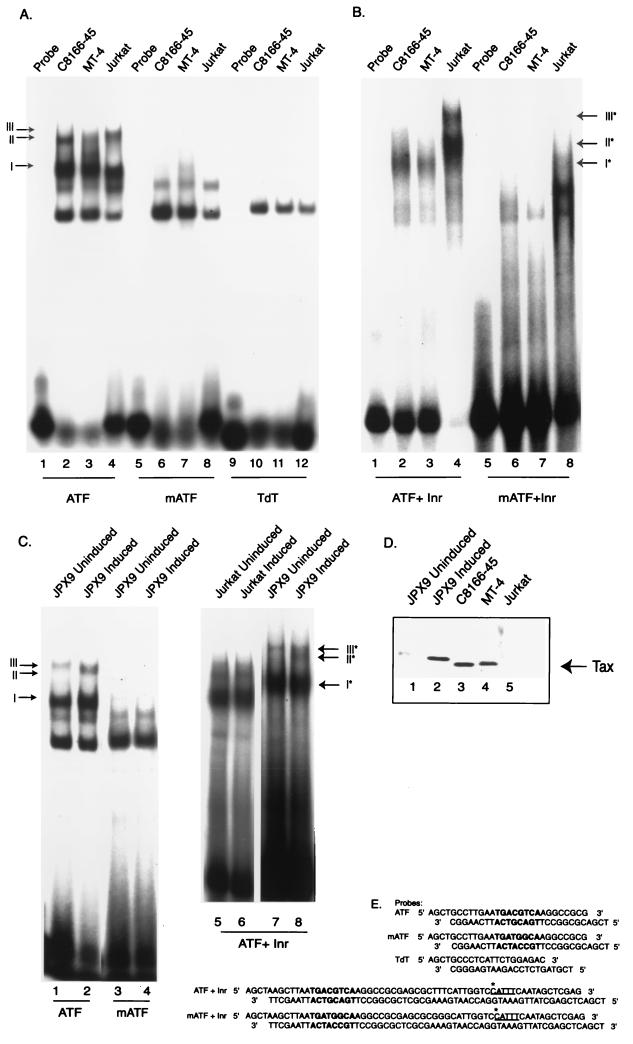 FIG. 6