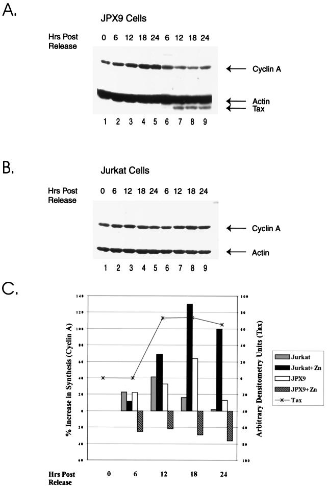 FIG. 7