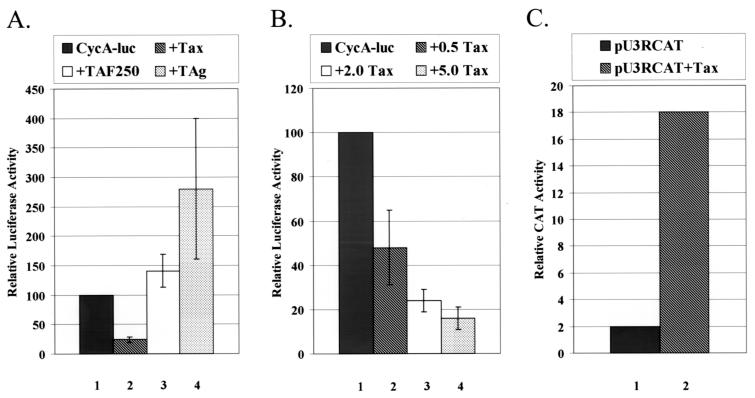 FIG. 1