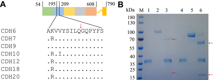 Figure 4