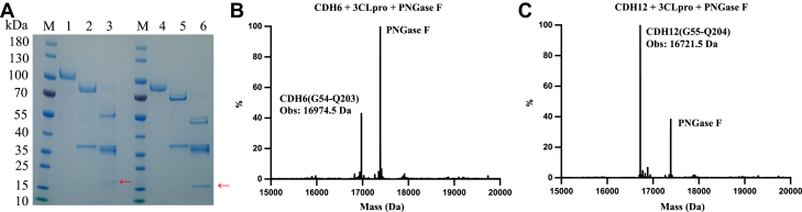 Figure 5