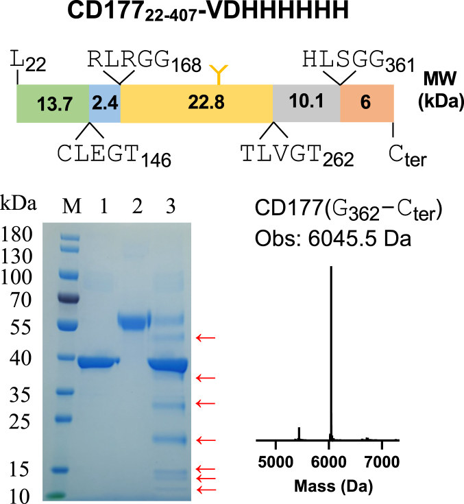 Figure 6