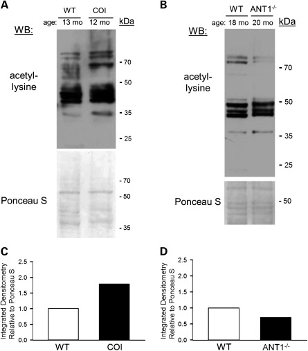 Figure 4.