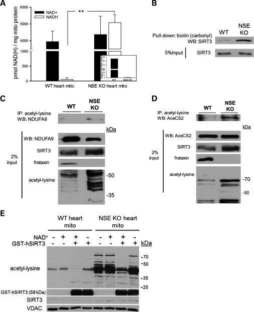 Figure 3.