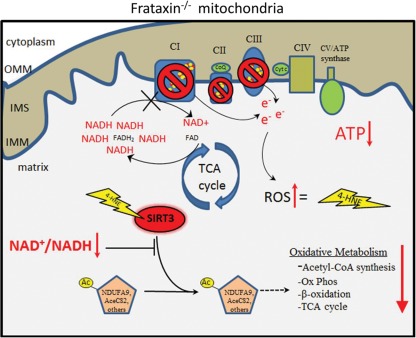 Figure 5.