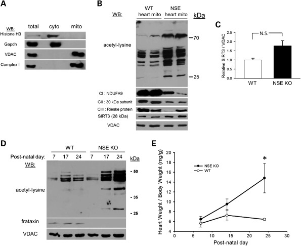 Figure 2.