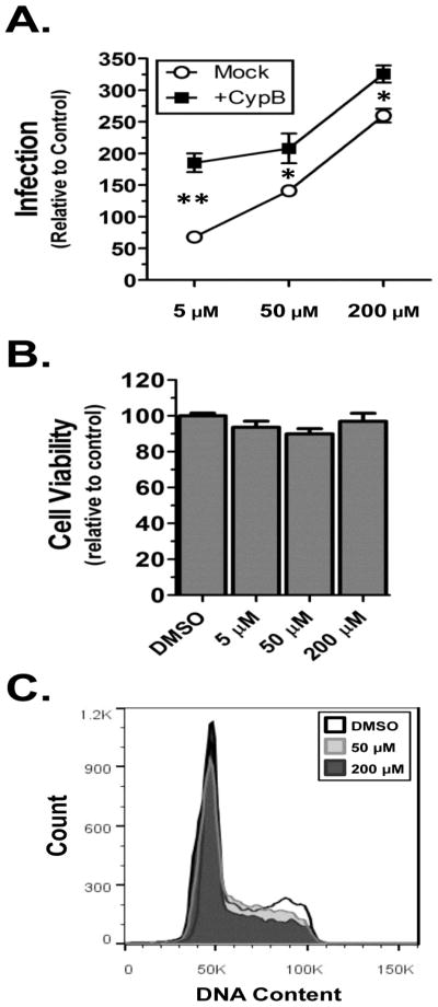 Fig. 10