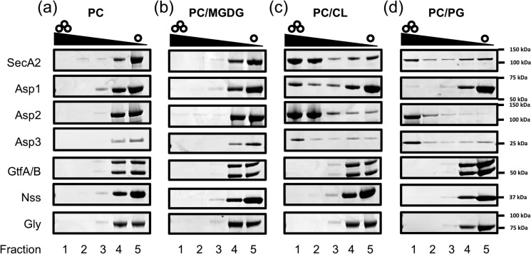 Figure 5.