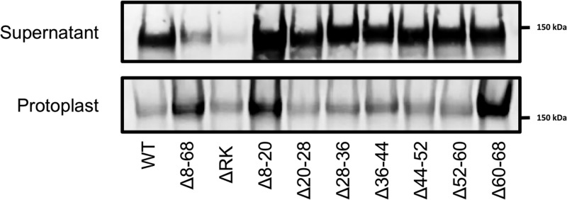 Figure 7.