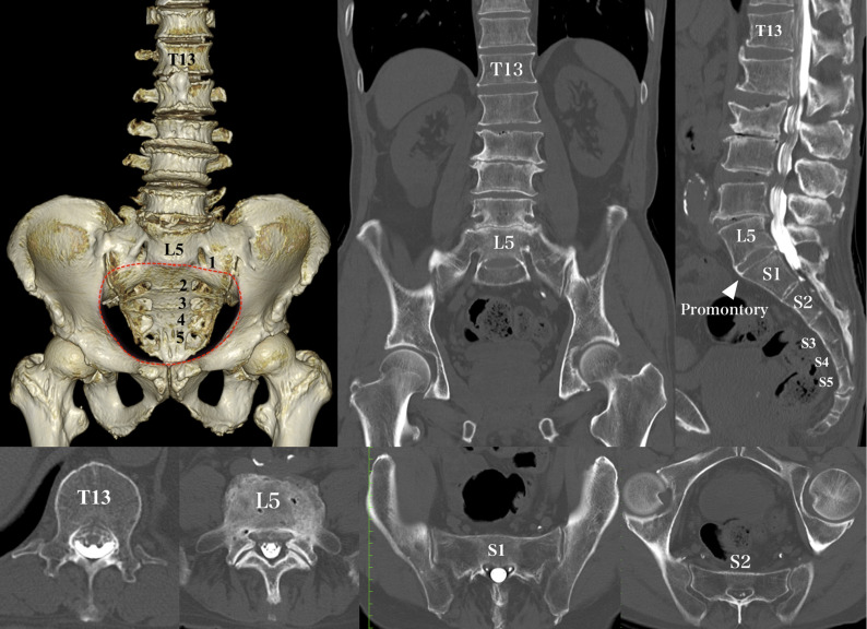 Fig. 2