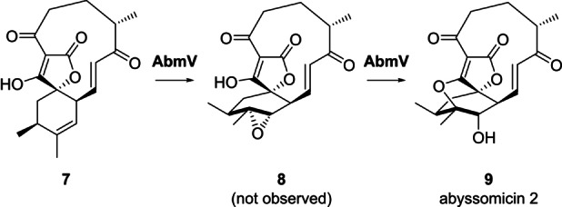 Scheme 2