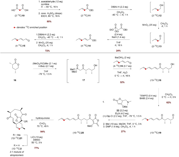 Scheme 3