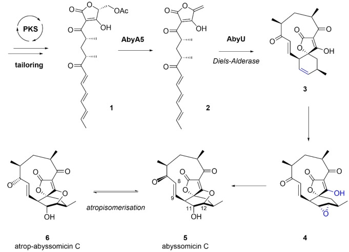 Scheme 1