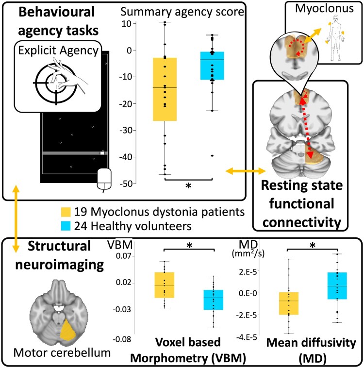 Graphical abstract