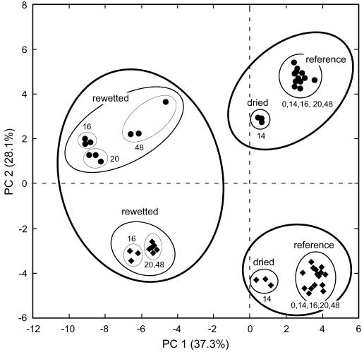 FIG. 5.