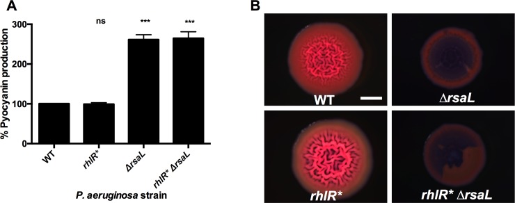 Fig 7