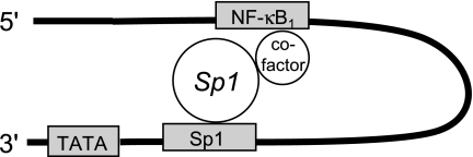 Fig. 8.