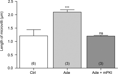 Fig. 8.