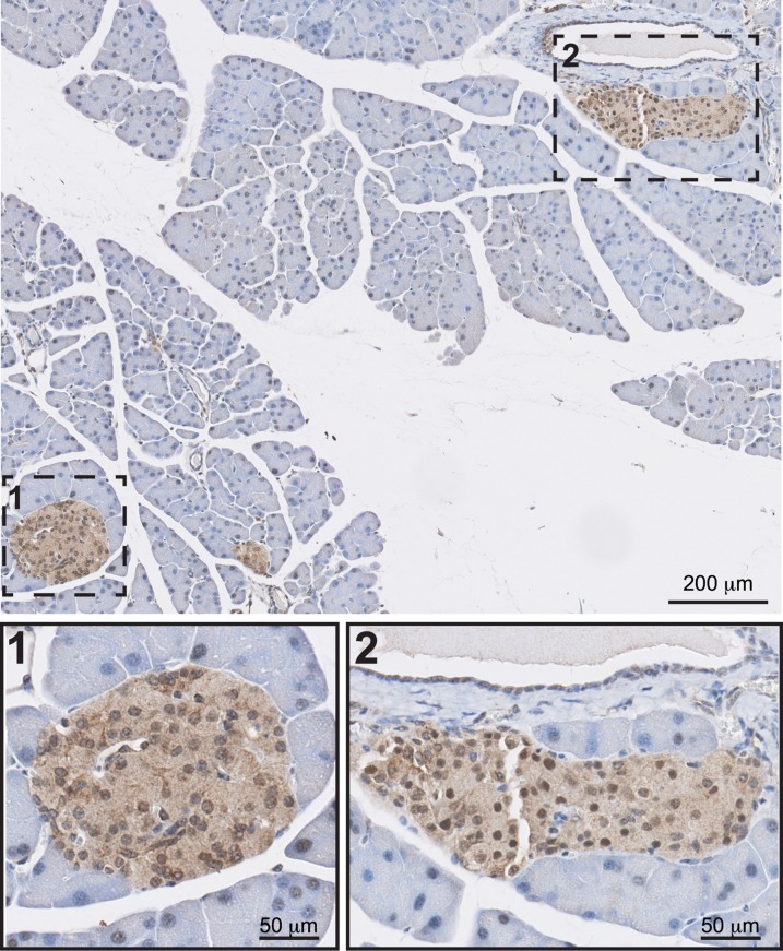 Fig 5