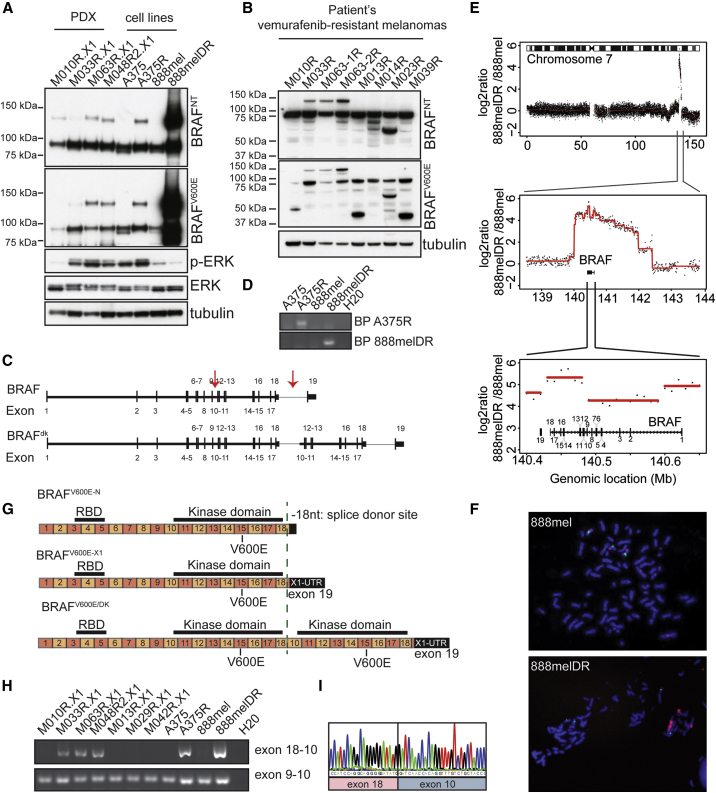 Figure 6