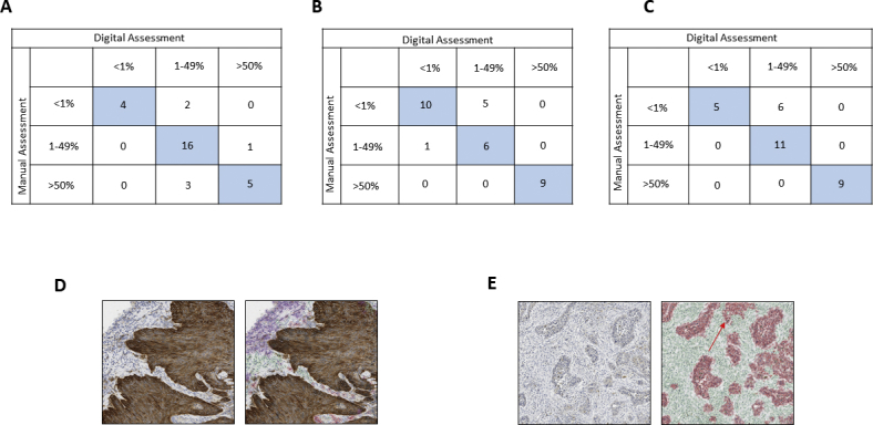 Supplemental Figure 2