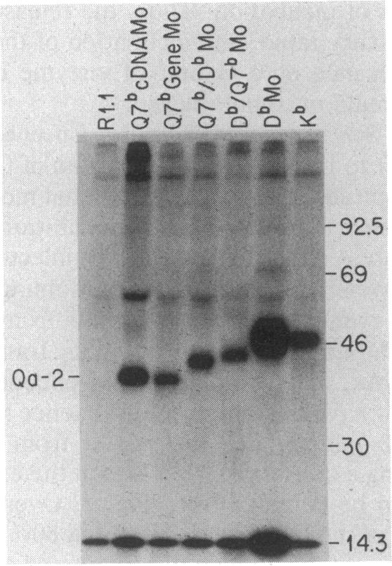 graphic file with name pnas00254-0289-a.jpg