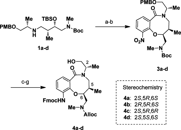 Scheme 1