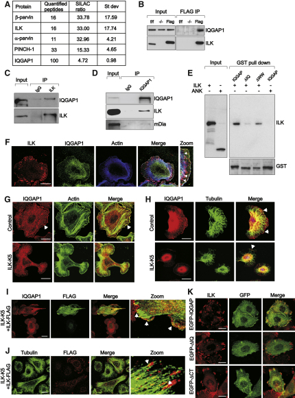 Figure 6