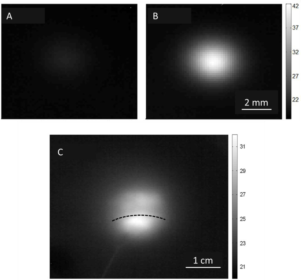 Figure 5: