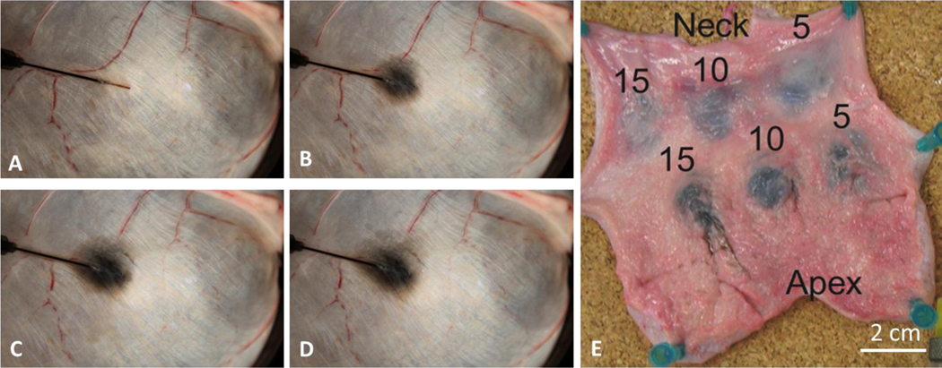 Figure 2: